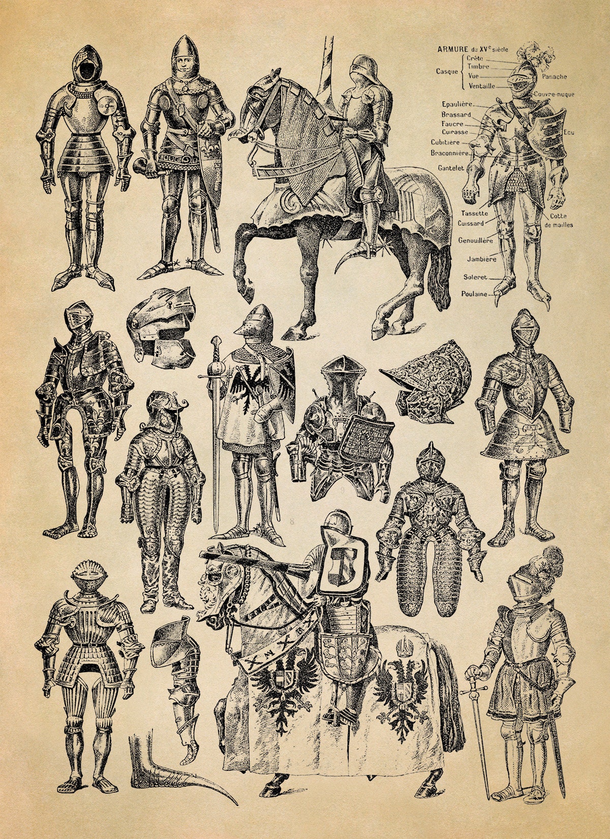 Knights Amor Illustration, Medieval Knight Armor Styles Chart, Premium  Vintage Style Reproduction Print AM118 - Etsy Singapore