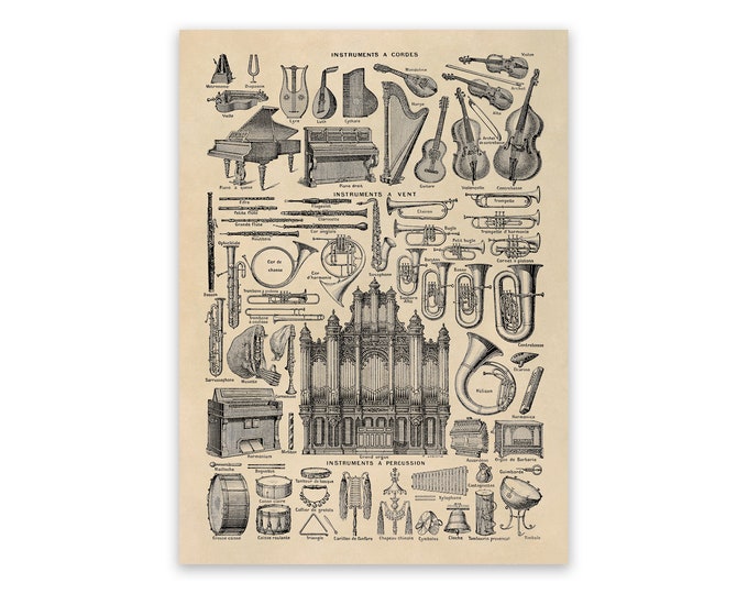 Vintage Musical Instruments Poster: Orchestra Chart Reproduction Print, FD16