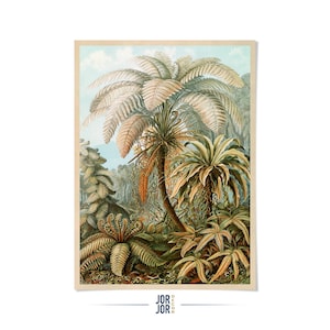 Ernst Haeckel Fern Print: Artforms in Nature Botanical Illustration, NH90