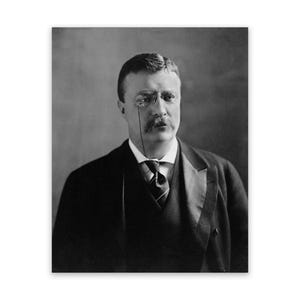 Theodore Roosevelt Portrait, Historic Presidental Wall Artwork, Premium Reproduction Print