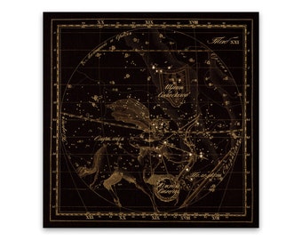 Sagittarius Zodiac Sign Art, Old Russian Astronomy Chart, Star Constellation Illustration, Vintage Style Print, Multiple Size Options
