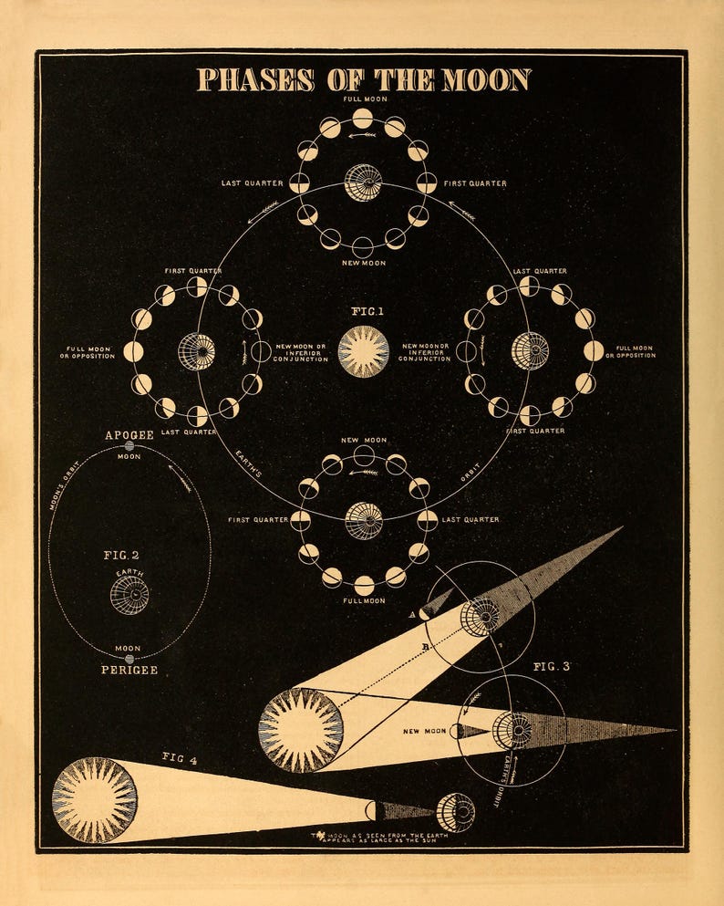 Vintage Moon Phases Chart Print Astronomy Poster Circa 1800s SIA14 