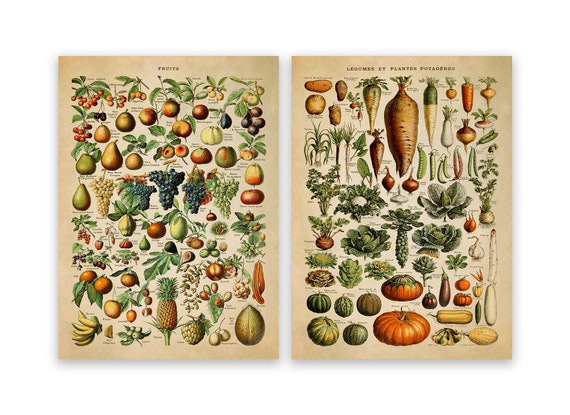 Adolphe Millot Fruit & Vegetable Vintage Print Set of 2, COM23