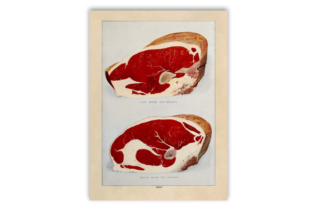 Beef Cuts Print, Old Butcher Illustration, Kitchen Decor Poster, 1900s ...