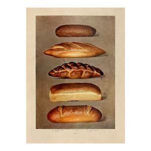 May include: A vintage illustration of five different types of bread, including a loaf of rye bread, a baguette, a braided loaf, a sandwich loaf, and a round loaf. The bread is depicted in a realistic style with detailed textures and colors.