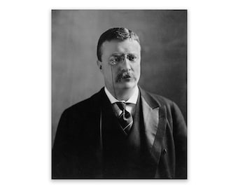Theodore Roosevelt Portrait, Premium Reproduction Print