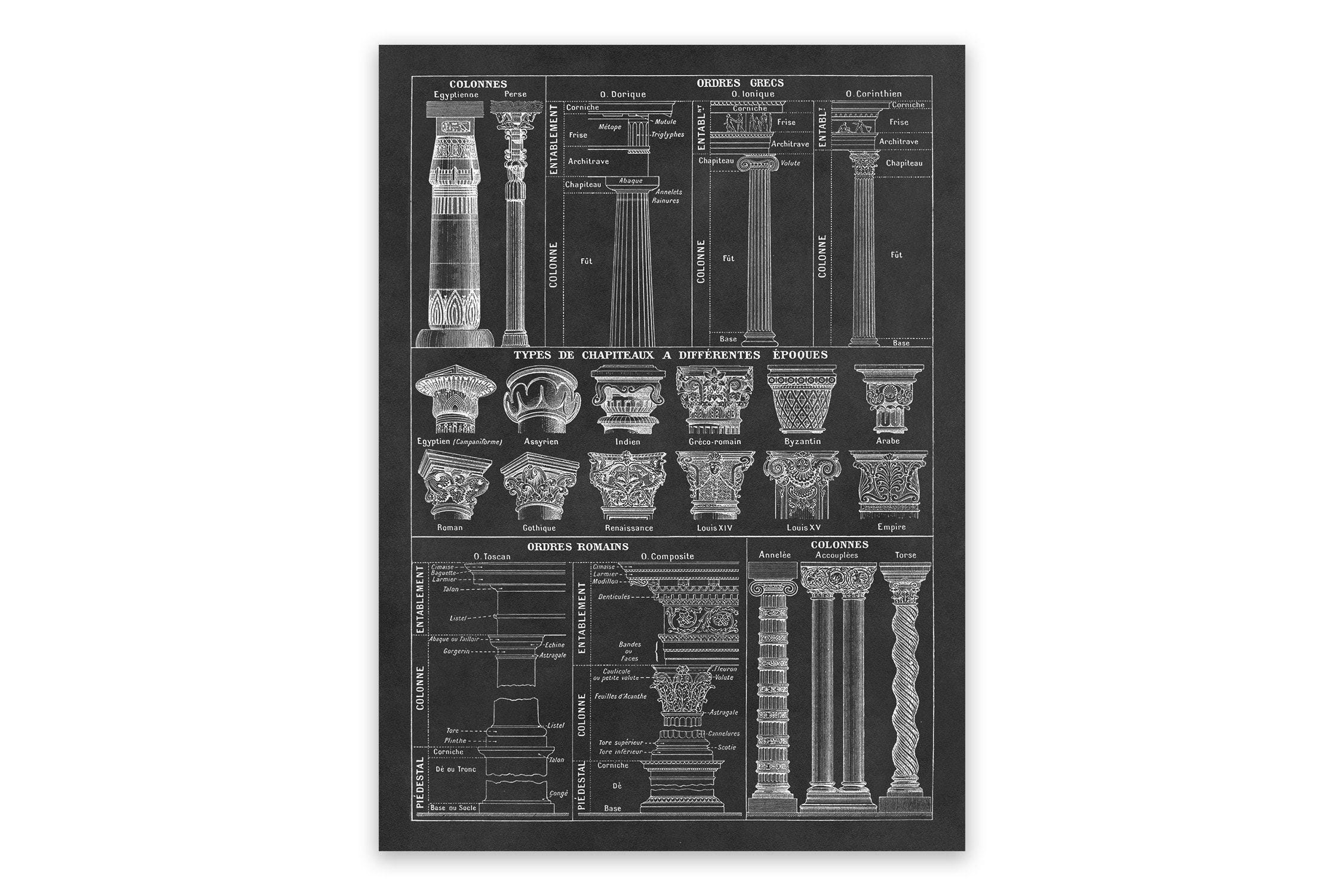 Ancient Architecture Print: Greek & Roman Columns Chart, Vintage