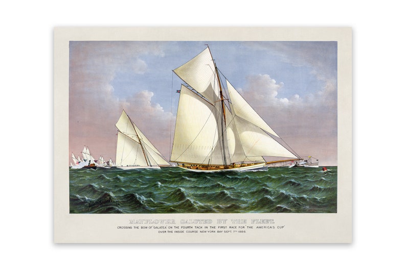 May include: A vintage illustration of a sailboat race. The Mayflower, a white sailboat with a brown hull, is shown sailing past the bow of another sailboat. The caption reads "Mayflower Galloped in the First Race for the Americas Cup, Crossing the Bow of Salatea on the Fourth Tack in the First Race for the Americas Cup, Over the Inside Course New York Bay Sept 1st 1895."