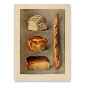 May include: A vintage illustration of four different types of bread: a round loaf labeled "Cottage", a round loaf labeled "Coffee", a long loaf labeled "French", and a rectangular loaf labeled "Brioche".