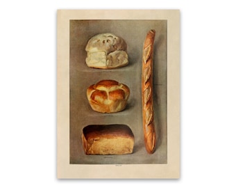 Vintage Bread Loaf Types Print: 1900s Kitchen Baker Decor, GEO65