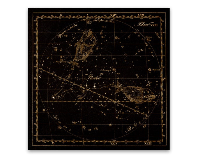 Pisces Zodiac Sign Art, Old Russian Astronomy Chart, Star Constellation Illustration, Vintage Style Print, Multiple Size Options