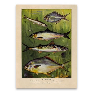 Salt Water Fish Print, Old Fishing Illustration, Kitchen Decor Poster, 1900s Fishermen Artwork GEO33