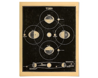 Könnte beinhalten: Ein rechteckiges Lehrplakat mit dem Titel TIDES auf schwarzem Hintergrund mit cremefarbenen Diagrammen, die Mondphasen, die Erde und die Sonne darstellen. Die Grafik zeigt Umlaufbahnen sowie Spring- und Nipptiden mit detaillierten Beschriftungen.