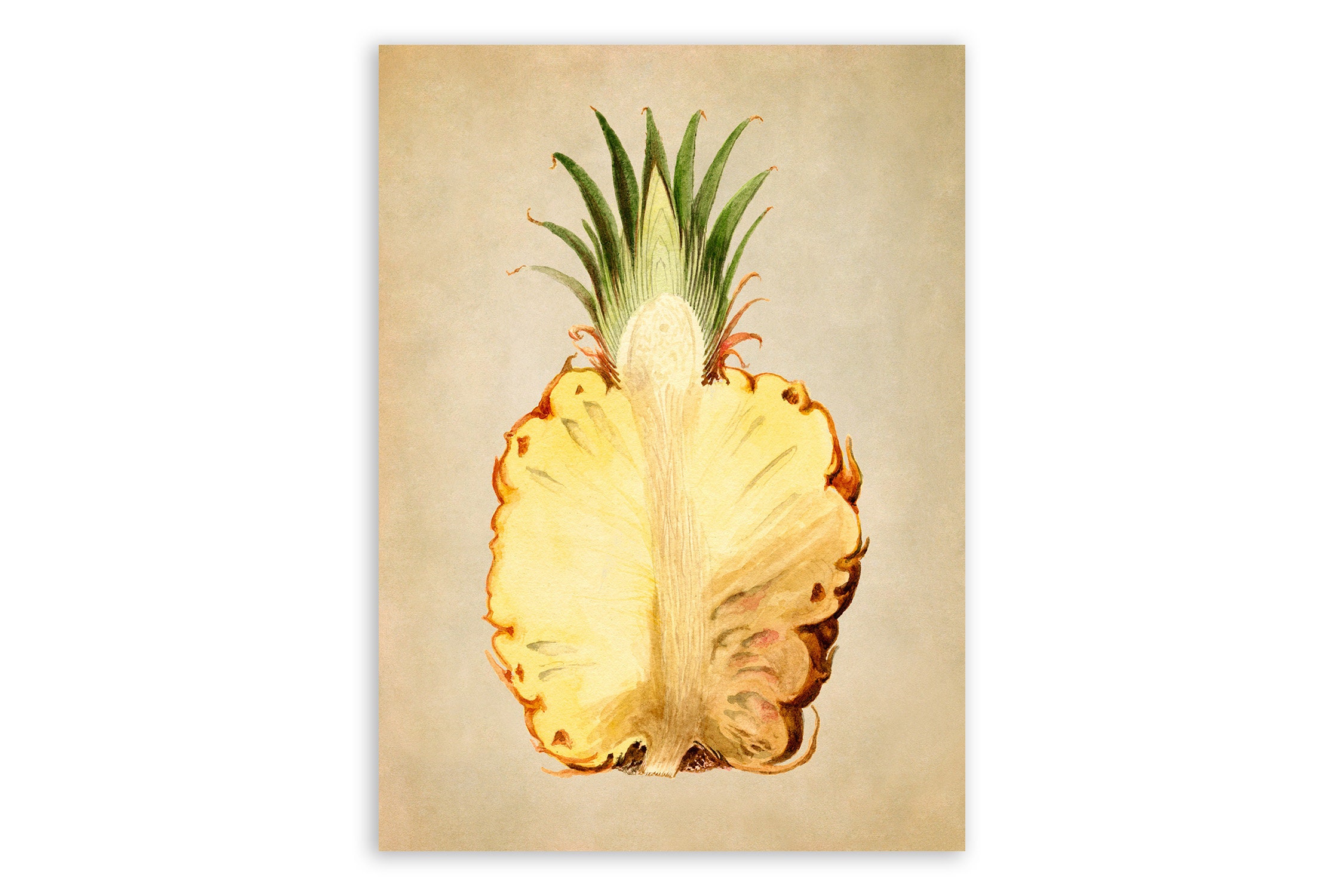 Vintage Pineapple Print: Botanical Fruit Watercolor Poster, JMS60