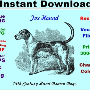 Deer Hound 19th Century hand drawn  SVG Vector and Printable Instant download 5 file formats