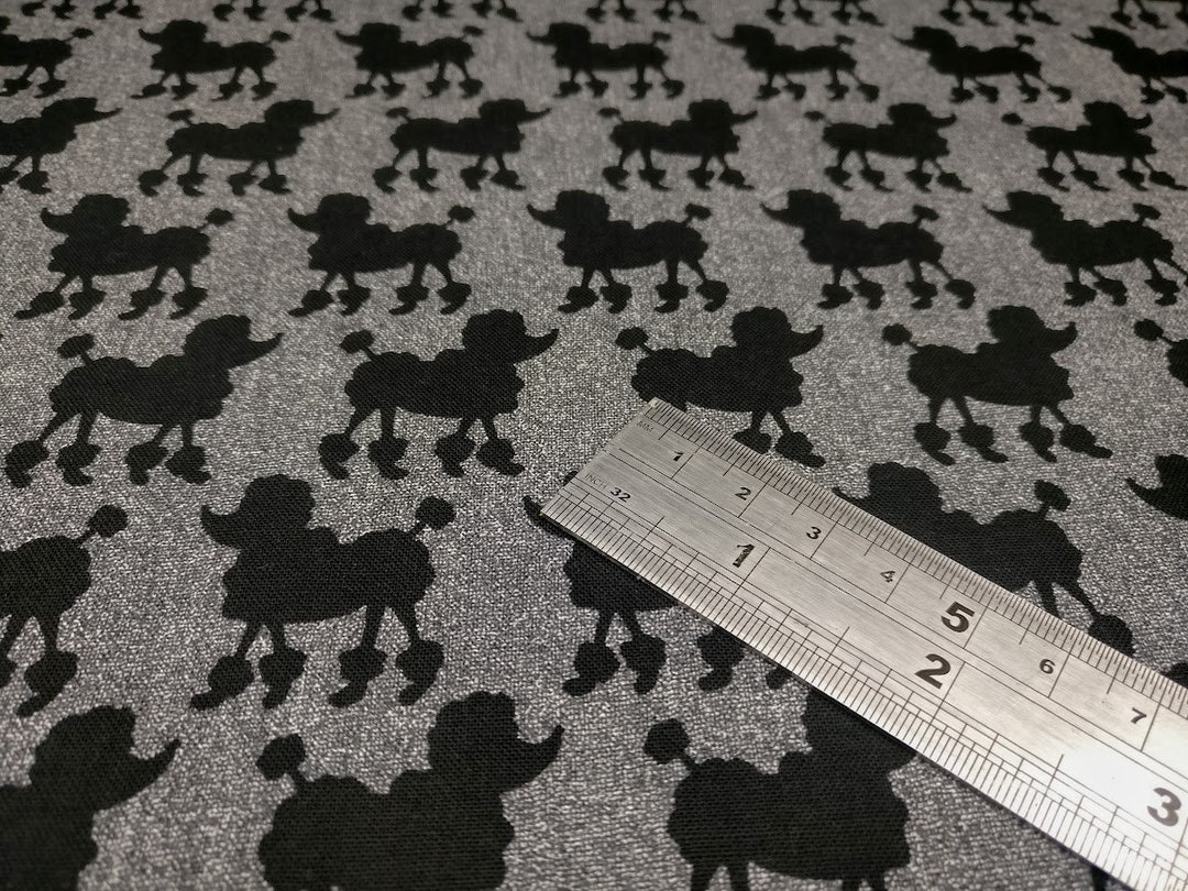 14 Diferencias Entre Libélula Y Caballito Del Diablo