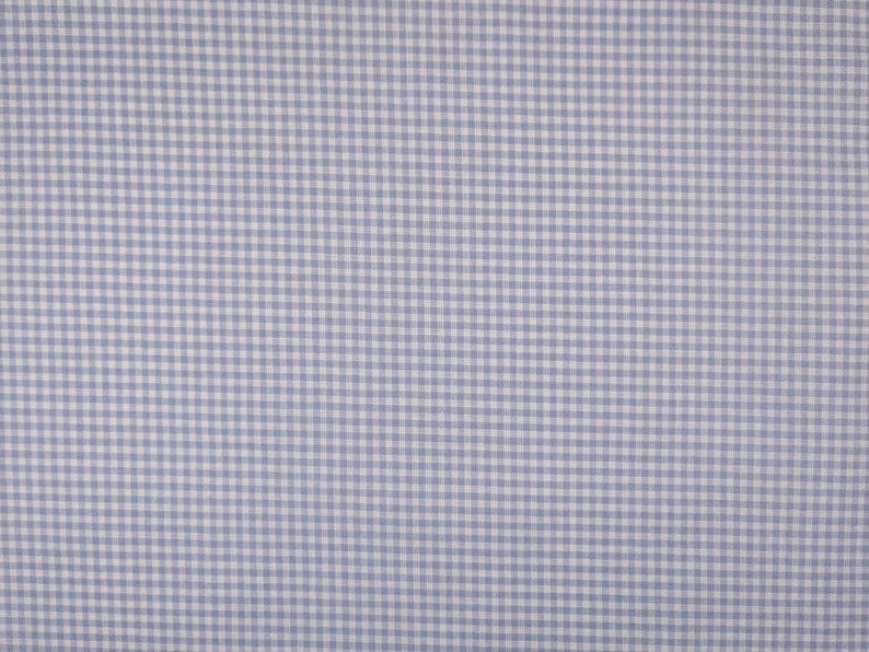 Puede incluir: Un primer plano de una tela de cuadros vichy azul claro y blanco. La tela tiene un tejido fino y un brillo sutil.