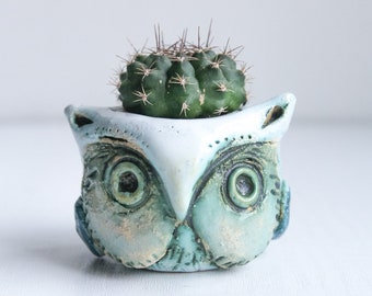 Owl pot for succulent planter Unique mini pots Modern Small indoor planters Cute animal pots for small plants, Organic clay pots for flowers