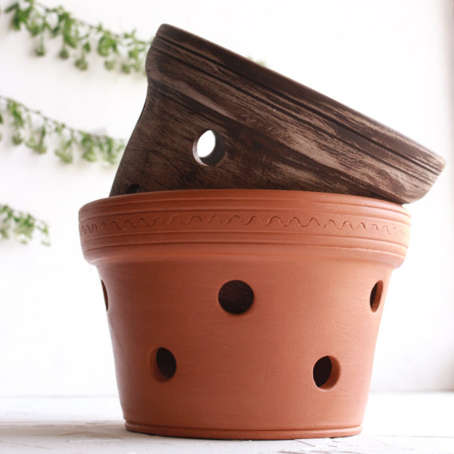 Terracotta Unglazed Orchid Pot With Large Holes for Roots Etsy