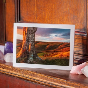 Könnte beinhalten: Ein gerahmtes Landschaftsfoto mit einem Baumstamm im Vordergrund und einem Sonnenuntergang über sanften Hügeln. Amethyst- und Quarzkristalle sind auf einer Holzoberfläche angeordnet, was eine natürliche Schönheit erzeugt.