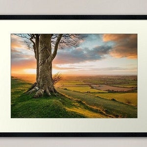 Puede incluir: Impresión enmarcada de un paisaje con un gran árbol en una colina cubierta de hierba, con un cielo de atardecer. La obra muestra un tronco y ramas de árbol detallados, con campos y colinas distantes.