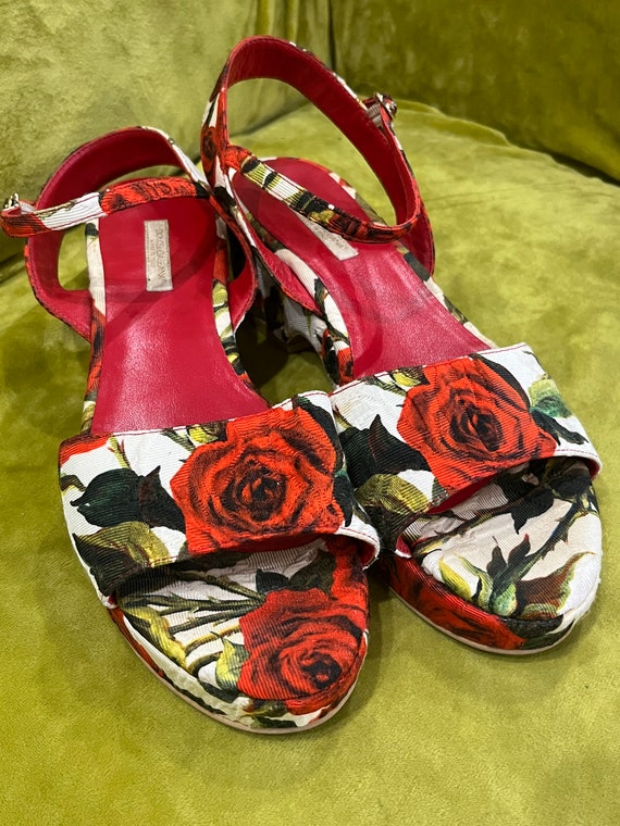Dolce & Gabbana Multi Coulor Rose Pattern Floral Printed