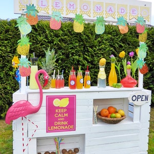 Lemonade Bar / Limonaden Bar für Kaufmannsladen Bild 1