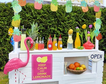 Lemonade Bar / Lemonade Bar for Merchant Shop