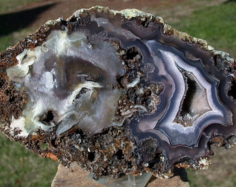 INCREDIBLE 5 1/2"  LAGUNA Mossy Agate Geode Nodule - Strikingly Beautiful & Unusually Dark Specimen!