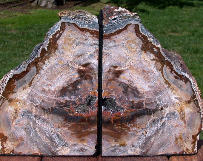 STUNNING NATURAL ART 6.6 lb. Petrified Wood Bookend Set - Beautiful Fossil Log!!