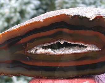 MUSEUM GRADE 4.6 lb. Mirror Polished Deep Translucent PIRANHA Agate Geode!