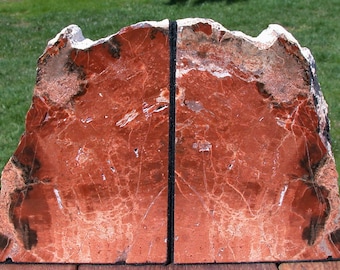 GLOWING ORANGE 8 lb Colorful Arizona Petrified Wood Bookend Set!!