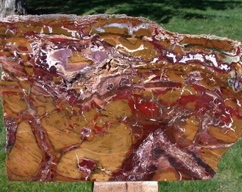 GORGEOUS RED & GOLD 11 lb. Marston Ranch Jasper Sculpture - Beautifully Polished Natural Stone!!