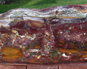 MASSIVE & GORGEOUS 16"+ Marston Jasper Slab - Mirror Polished!!