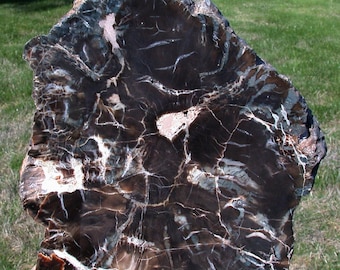 Polished Arizona Petrified Wood Sculpture: Black Woodworthia Log, 14+ lb