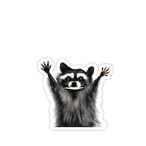 Cute Raccoon hands Sticker, niche funny scrapbooking raccoon sticker, for school, sticker for kids, cute animal sticker