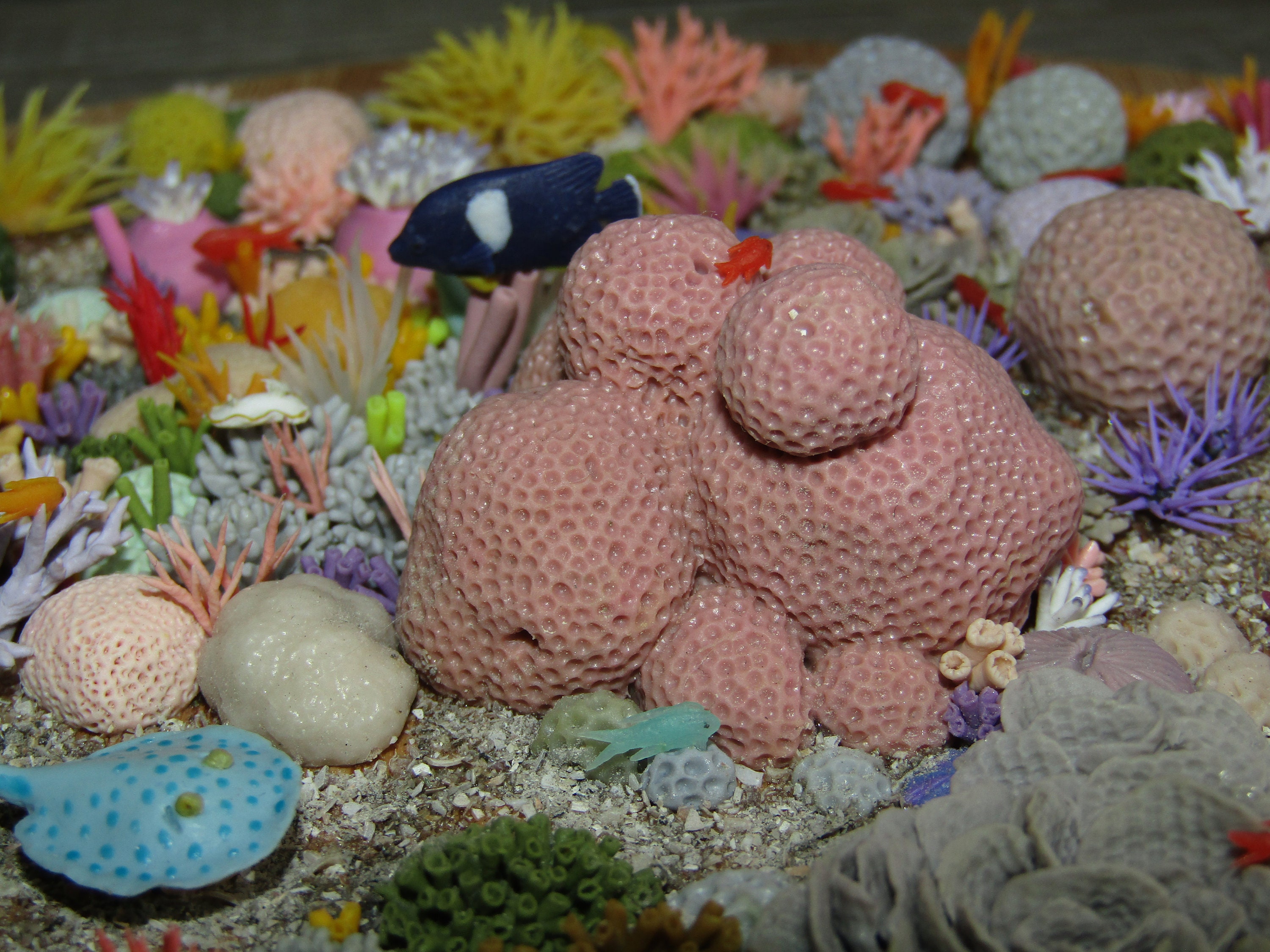 Miniature coral reef polymer clay sculpture sea life art Etsy