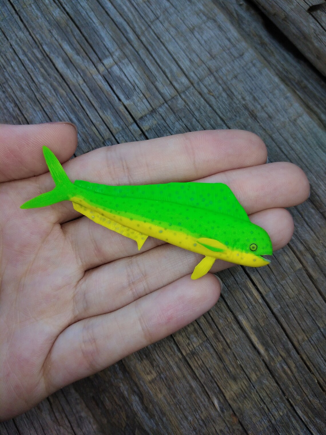 Miniature MahiMahi fish tiny fish scale 1/12 Etsy