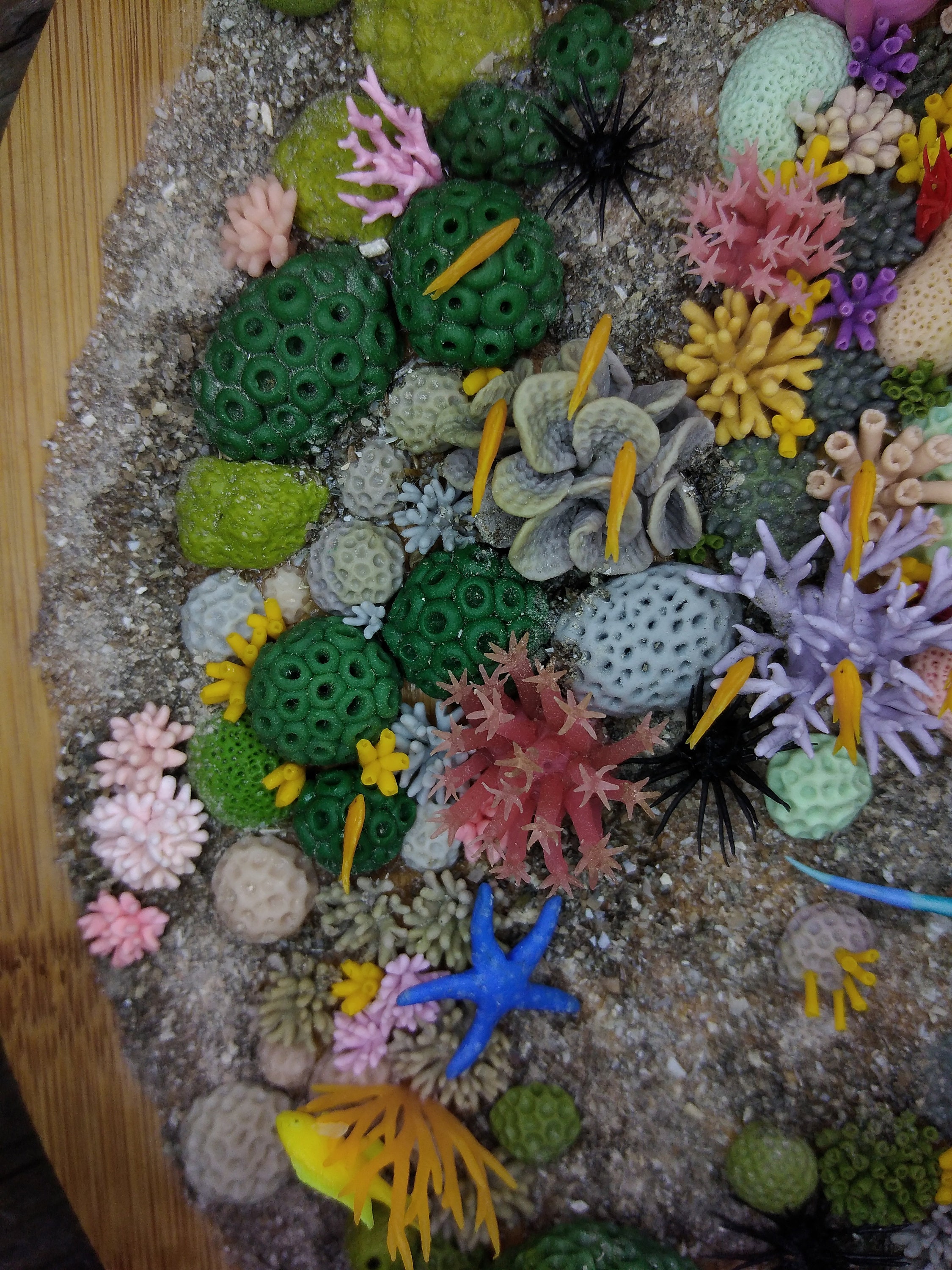 Miniature coral reef polymer clay sculpture sea life art Etsy
