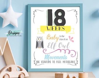 Könnte beinhalten: Ein gerahmter Druck mit hellblauem Rand zeigt den Text "18 WOCHEN" mit einer Eulenillustration. Der Text "Baby ist so groß wie eine Zwergohreule" ist ebenfalls vorhanden. Der Druck ist ein Sofort-Download, misst 20,3 x 25,4 cm.