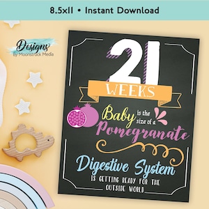 Panneaux de grossesse hebdomadaires 8,5 x 11 pouces | Accessoires photo pour bébés, ventre rond, semaines 4-40 | Cartes d'étape importante de la grossesse