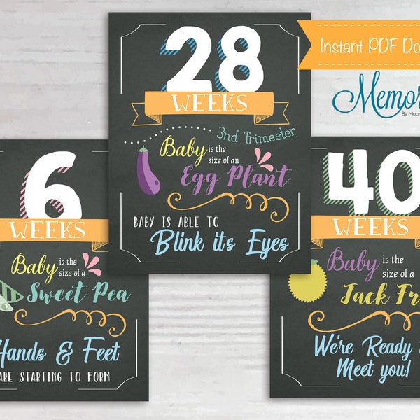 Pregnancy Week by Week Milestone Board Pregnancy Signs, Baby Milestone, Pregnancy Chalkboard, Bump Photo Prop, Weekly Pregnancy, 8.5x11in