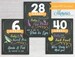 Pregnancy Weeks Chalkboard Signs 8.5 x 11 