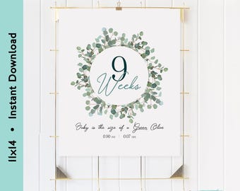 11x14in Weekly Pregnancy Sign | Eucalyptus Baby Bump Milestone Tracker | Baby Size Comparison Photo Prop | Pregnancy CountdownvDownload
