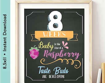 8.5 x 11in Weekly Pregnancy Chalkboard Signs | 4-40 Weeks Baby Bump Photo Prop | Pregnancy Milestone Instant Download Chalkboard Posters