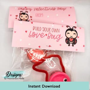 Erstelle dein eigenes Love Bug Valentinstag Bastelset | Marienkäfer-Thema | Kinder Valentinstag Gunsten | Klassenzimmerbörse | Gastgeschenke