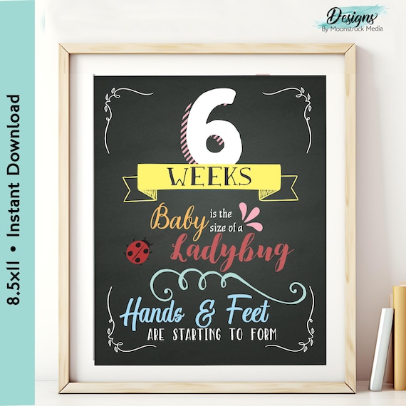 Blulu Pregnancy Sign 5 To 40 Weeks Weekly Belly Bump Tracker Baby You X27 Ll Be Weekly Pregnancy - View #12