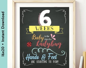 16x20 Animal Pregnancy Week-by-Week Sign | Fun Baby Bump Tracker & Milestone Photo Prop