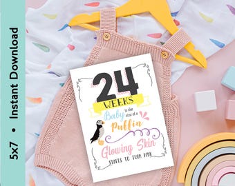 Könnte beinhalten: Ein weißes rechteckiges Schild mit schwarzem, gelbem, blauem und rosa Text, der 24 WEEKS is the size of a Puffin, Baby, Glowing Skin, STARTS TO TURN PINK lautet, platziert auf einem hellrosa Strickstrampler mit gelbem Kleiderbügel und gemustertem Tuch.