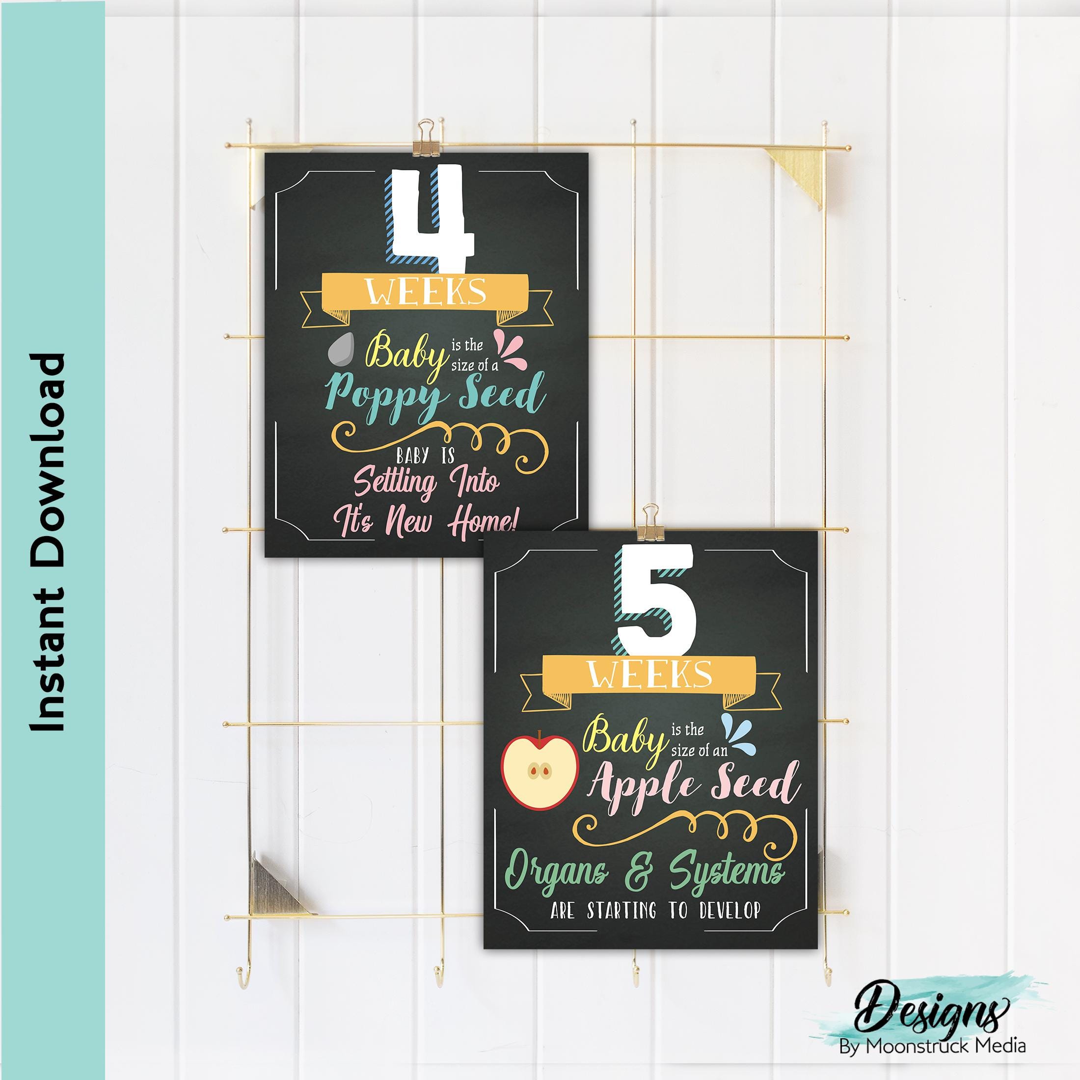 8.5x11 Weekly Pregnancy Chalkboard Signs | Weeks 4-40 Baby Bump Photo ...